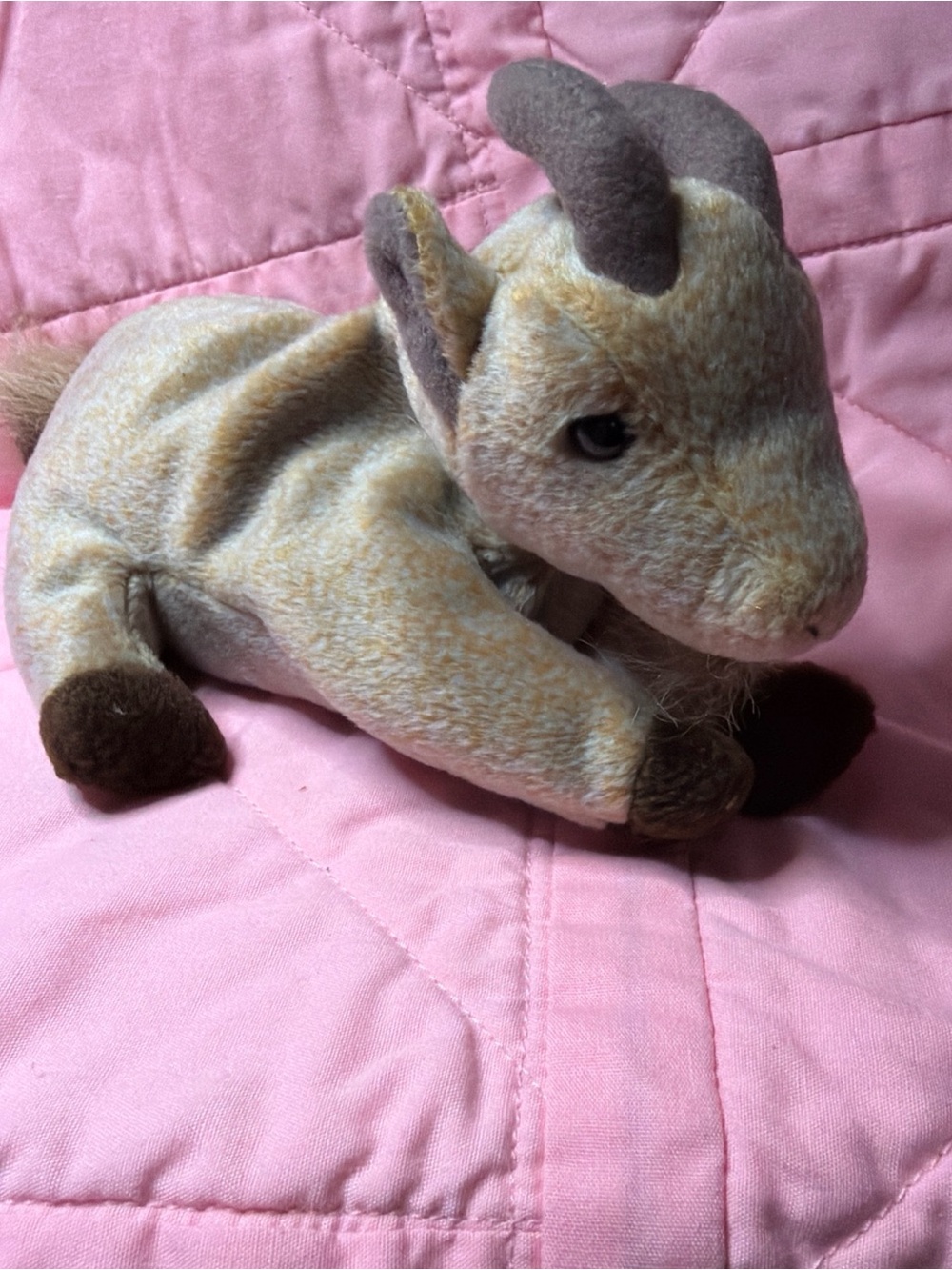 ty beanie babies goatee 1999